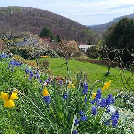 Ferienwohnung Zum Maerchenwald Bergfreiheit ภายนอก รูปภาพ