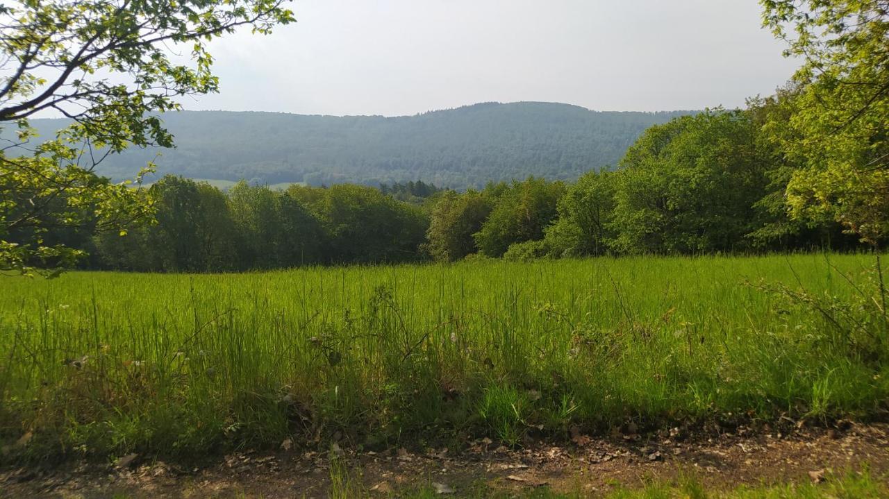 Ferienwohnung Zum Maerchenwald Bergfreiheit ภายนอก รูปภาพ