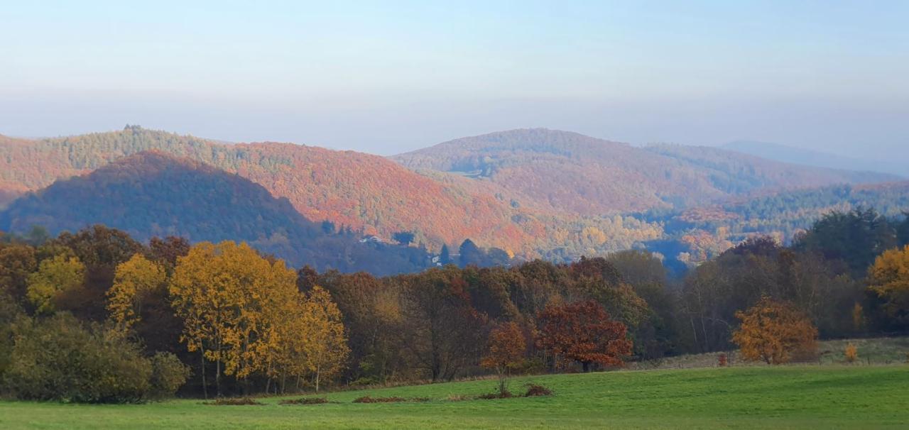 Ferienwohnung Zum Maerchenwald Bergfreiheit ภายนอก รูปภาพ
