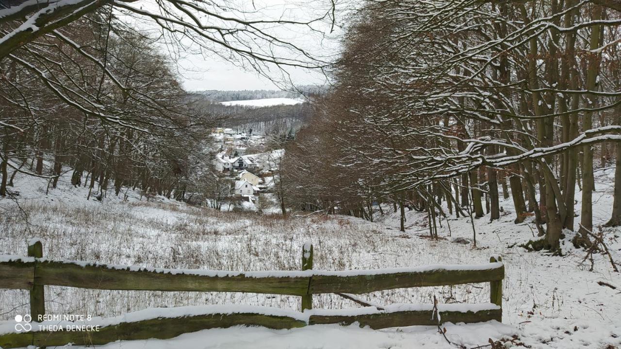 Ferienwohnung Zum Maerchenwald Bergfreiheit ภายนอก รูปภาพ