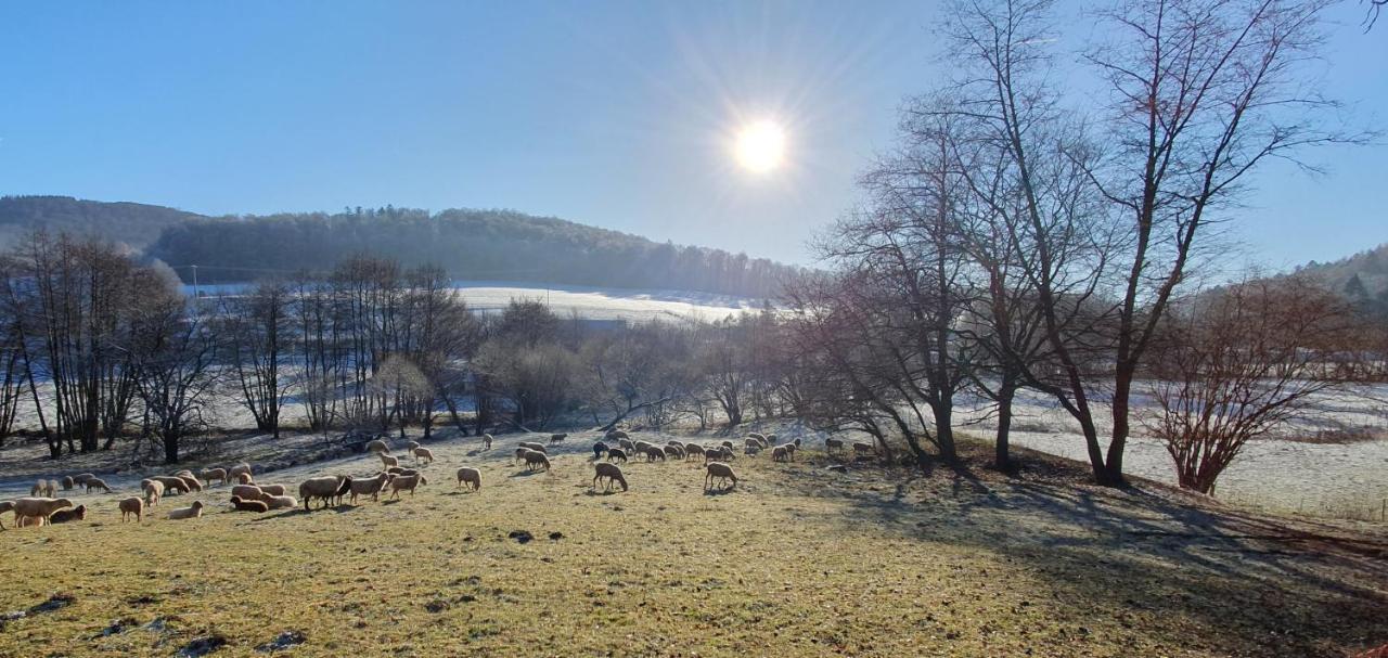 Ferienwohnung Zum Maerchenwald Bergfreiheit ภายนอก รูปภาพ