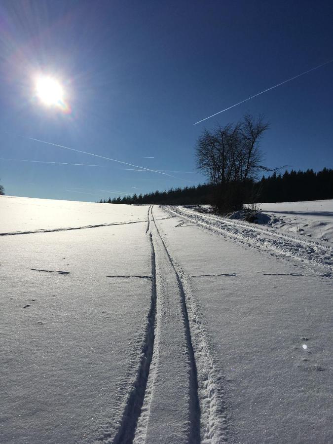 Ferienwohnung Zum Maerchenwald Bergfreiheit ภายนอก รูปภาพ