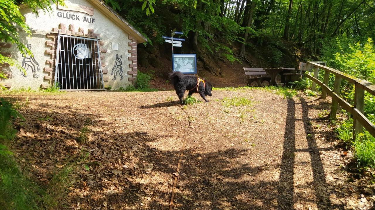 Ferienwohnung Zum Maerchenwald Bergfreiheit ภายนอก รูปภาพ