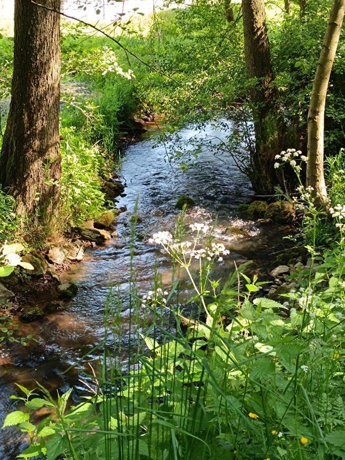 Ferienwohnung Zum Maerchenwald Bergfreiheit ภายนอก รูปภาพ