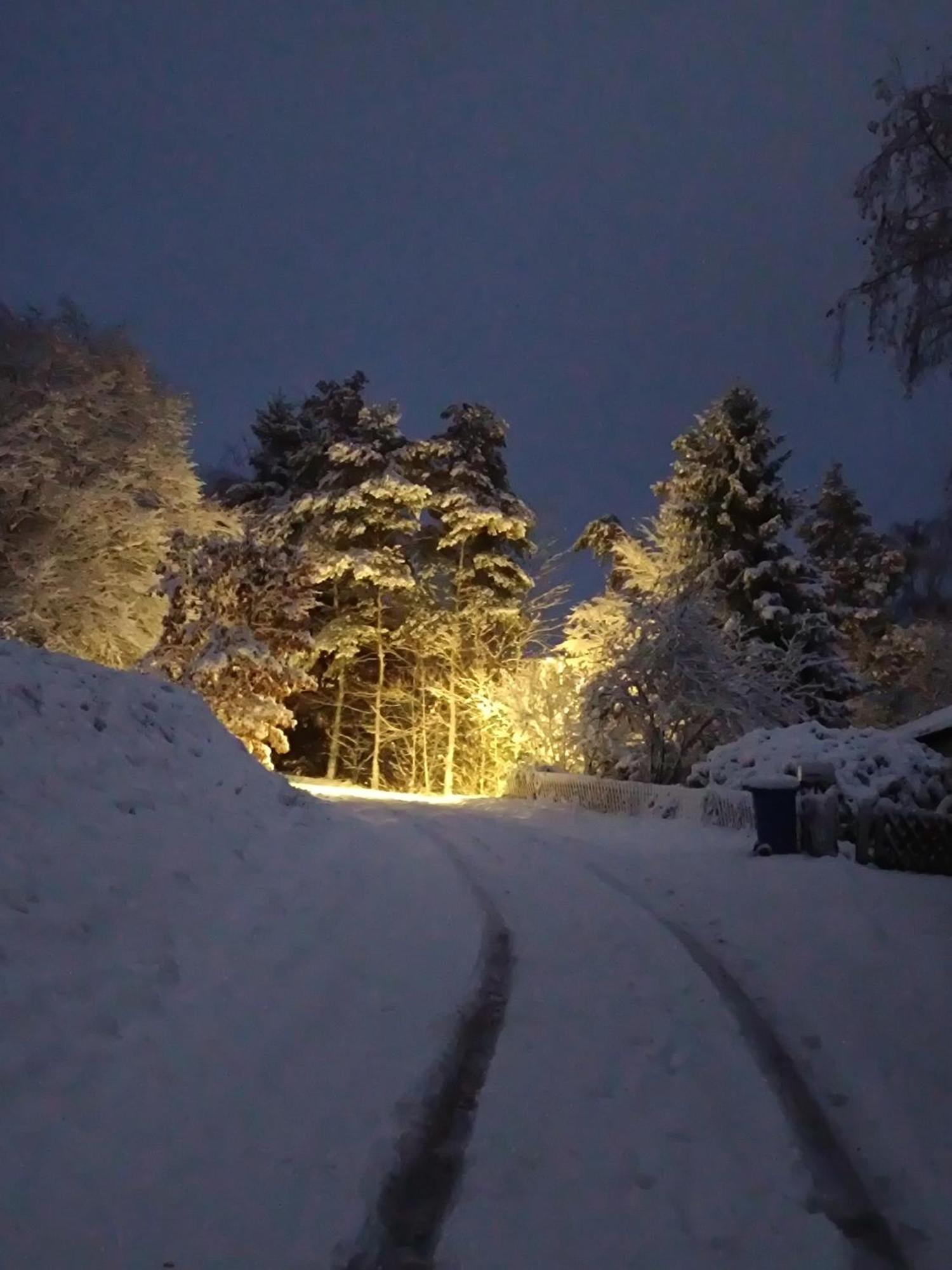 Ferienwohnung Zum Maerchenwald Bergfreiheit ภายนอก รูปภาพ