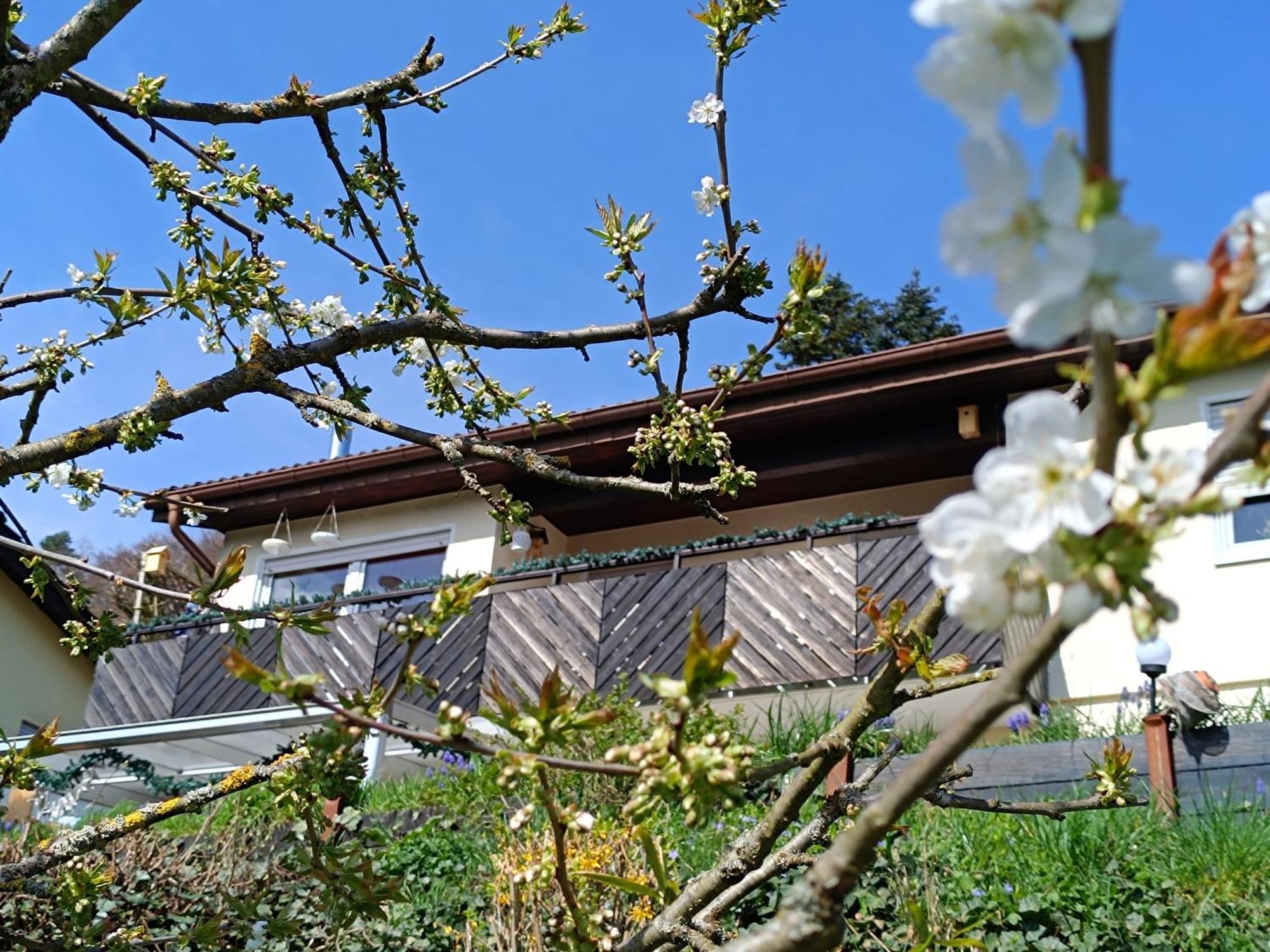 Ferienwohnung Zum Maerchenwald Bergfreiheit ภายนอก รูปภาพ