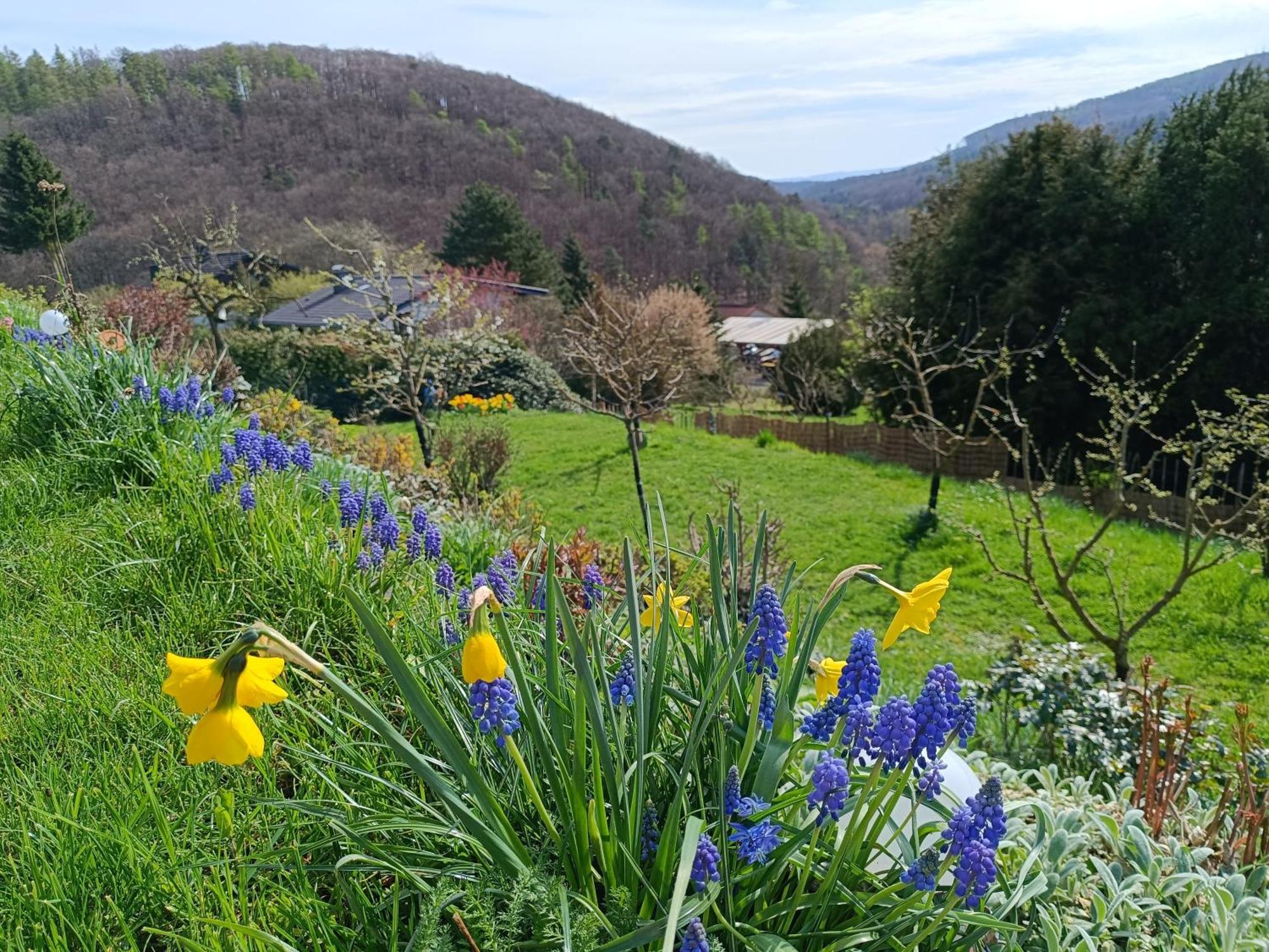 Ferienwohnung Zum Maerchenwald Bergfreiheit ภายนอก รูปภาพ