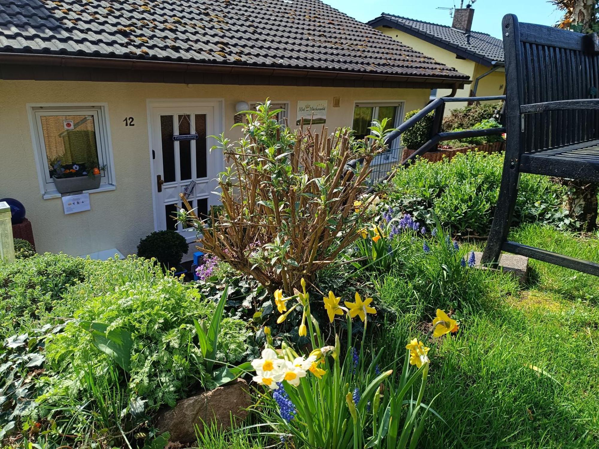 Ferienwohnung Zum Maerchenwald Bergfreiheit ภายนอก รูปภาพ