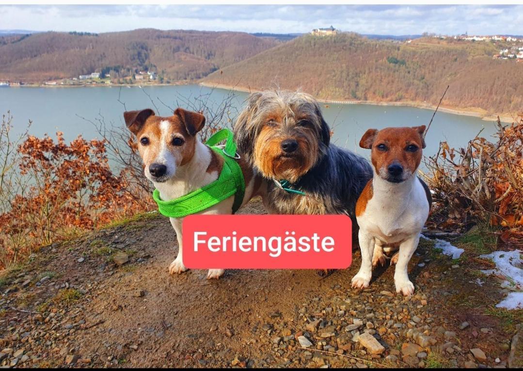 Ferienwohnung Zum Maerchenwald Bergfreiheit ภายนอก รูปภาพ