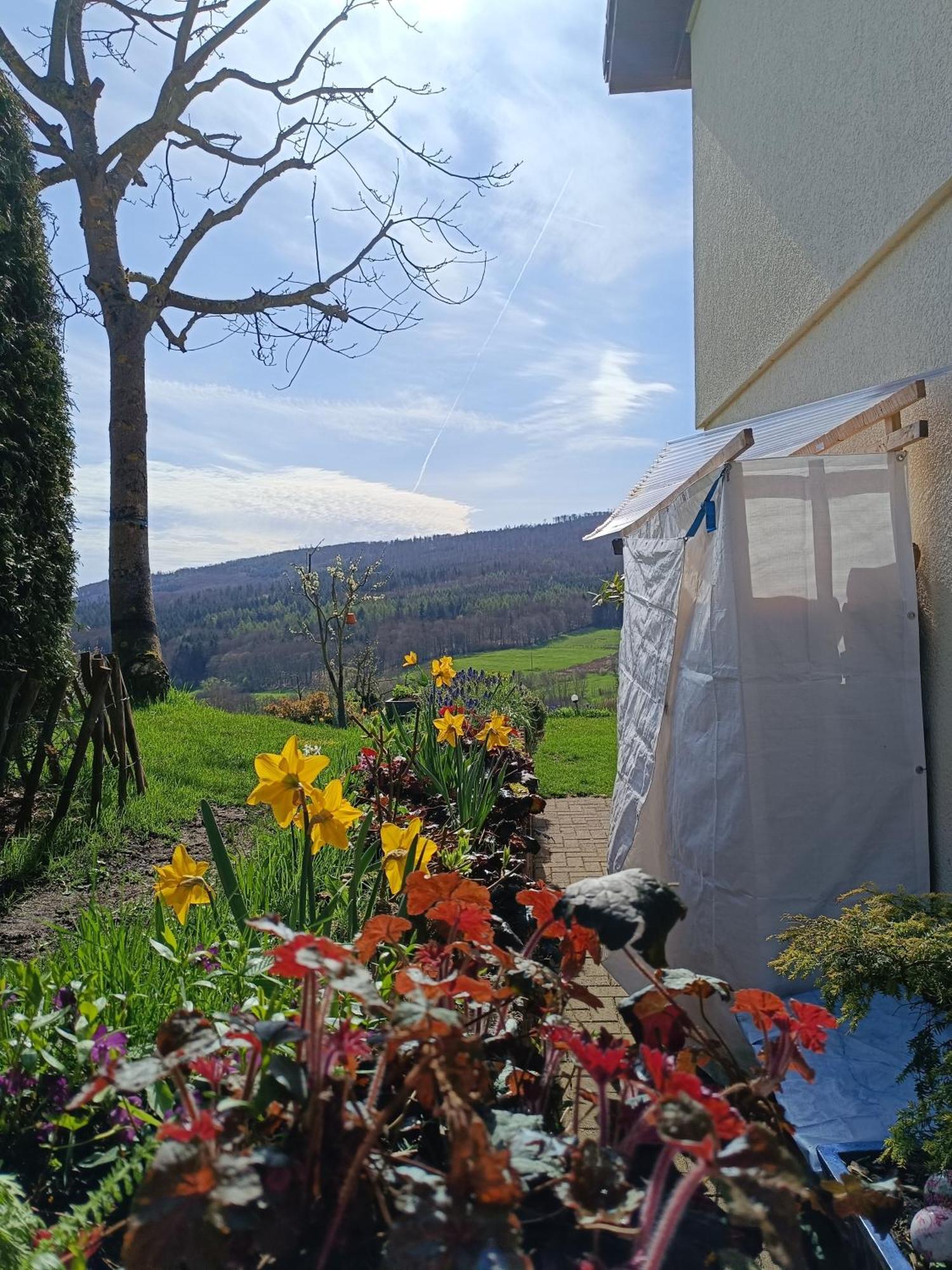 Ferienwohnung Zum Maerchenwald Bergfreiheit ภายนอก รูปภาพ