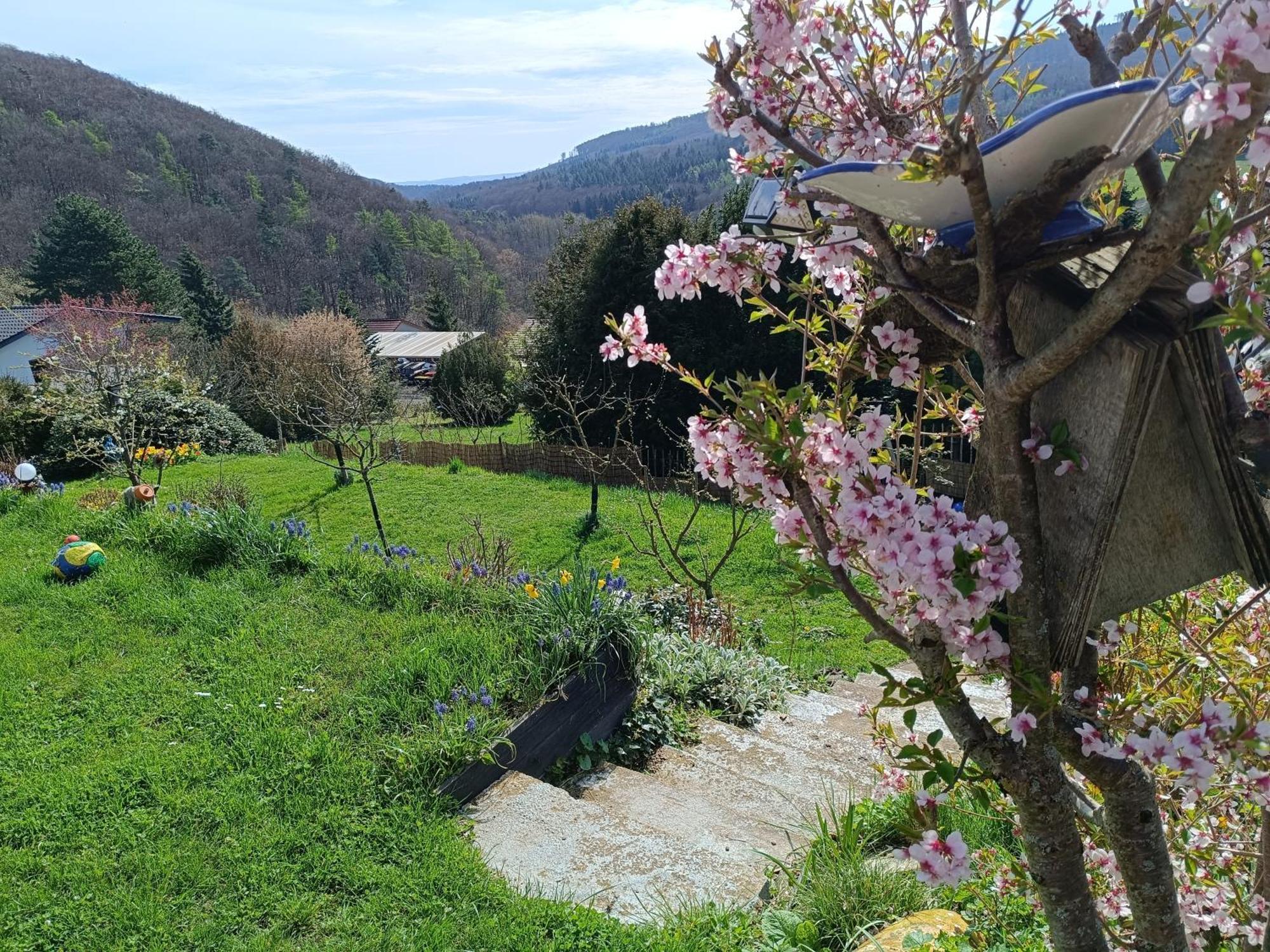 Ferienwohnung Zum Maerchenwald Bergfreiheit ภายนอก รูปภาพ